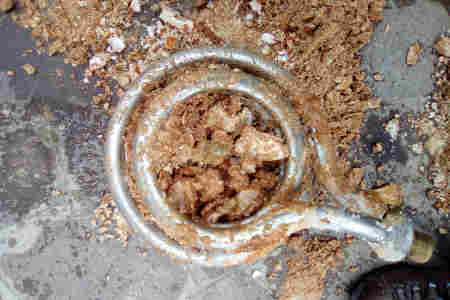 Image of a boiler&#039;s heat exchanger coil covered in lime scale, highlighting the need for thorough cleaning and maintenance