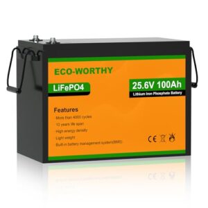 Batteria LiFePO4 24V 100Ah ECO-WORTHY – Sicura e Duratura