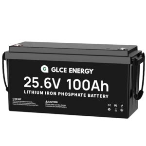 Batteria LiFePO4 24V 100Ah con BMS 100A